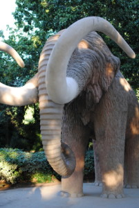 wooly mammoth 