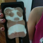 panda ice cream