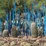 barrel cacti with tall blue Chihuly sculptures